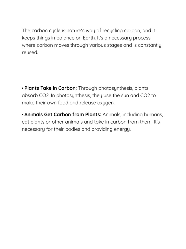 Understanding the Carbon Cycle | PDF