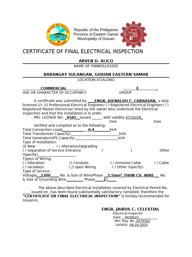 CFEI | PDF