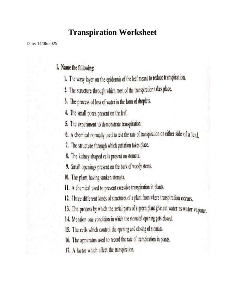 Transpiration Worksheet | PDF