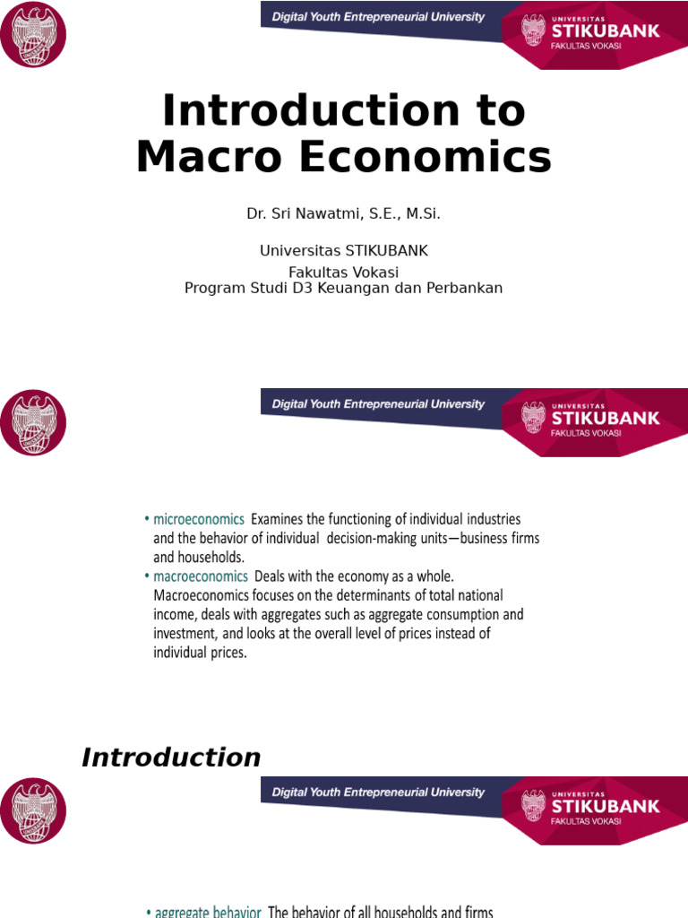 Introduction To Macro Economic 1 Pdf