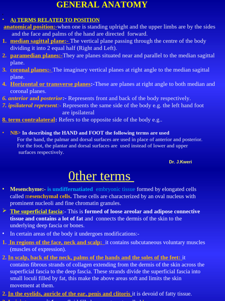 Understanding Human Anatomy Basics | PDF | Bone | Muscle