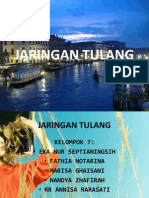 Jaringan Tulang