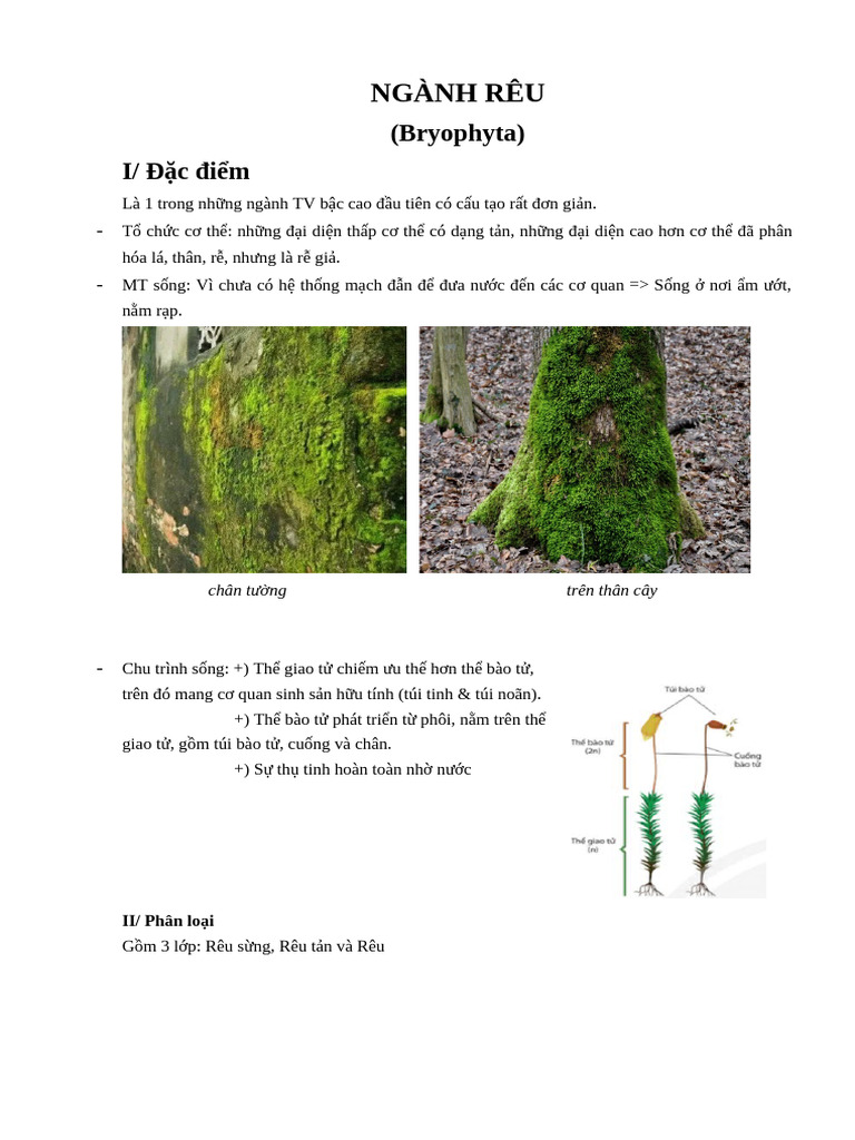 NGÀNH RÊU (PP) | PDF