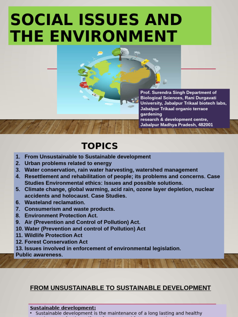 Social Issue and The Environment | PDF | Sustainability | Sustainable ...