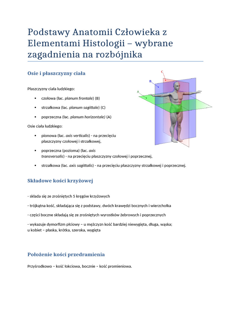 Anata - Rozbójnik | PDF