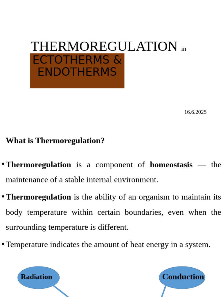 Thermo Regulation | PDF | Thermoregulation | Heat Transfer