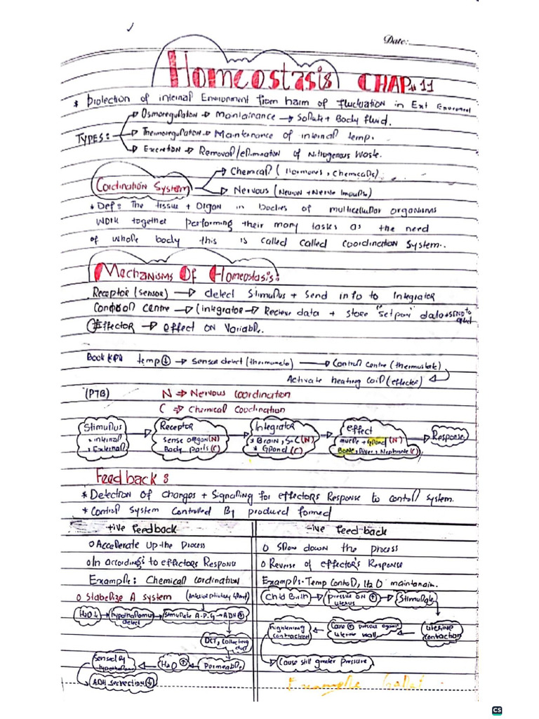 Homeostasis Notes by DR Chuto | PDF
