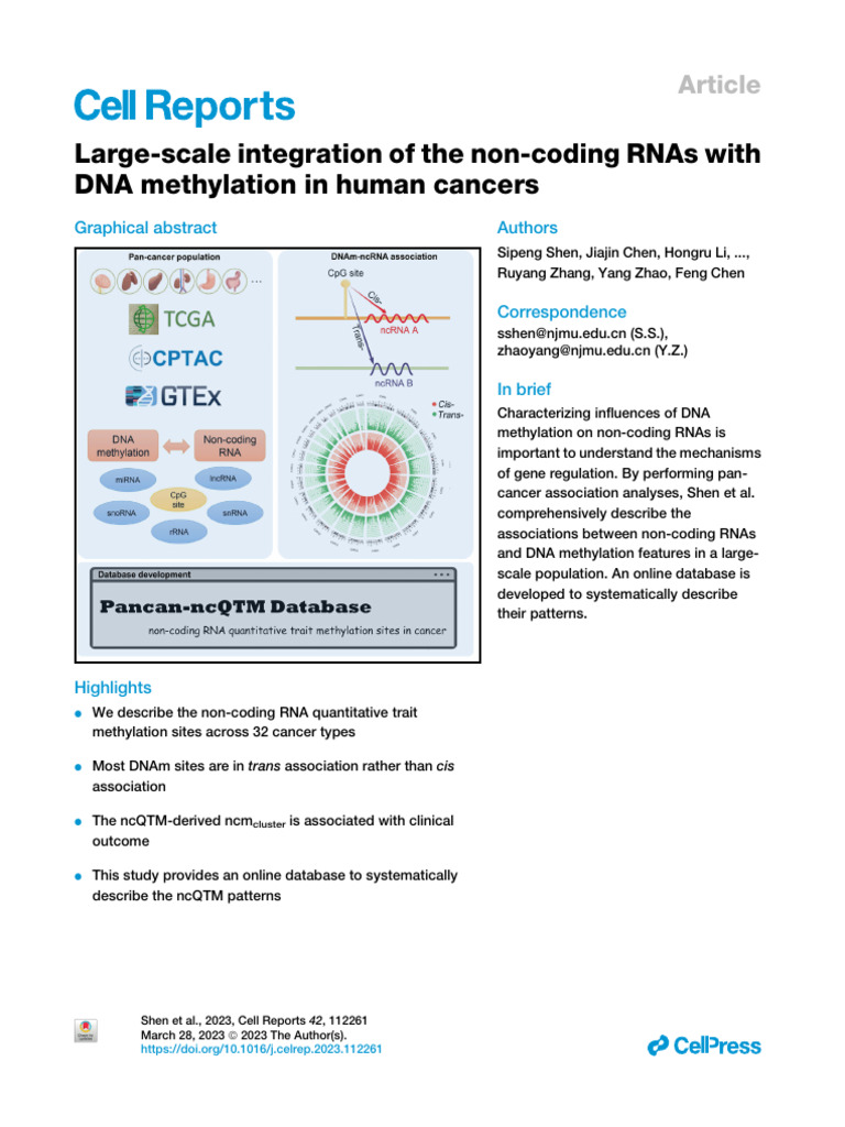 Non-Coding RNA and DNA Methylation in Cancer | PDF | Gene Expression ...