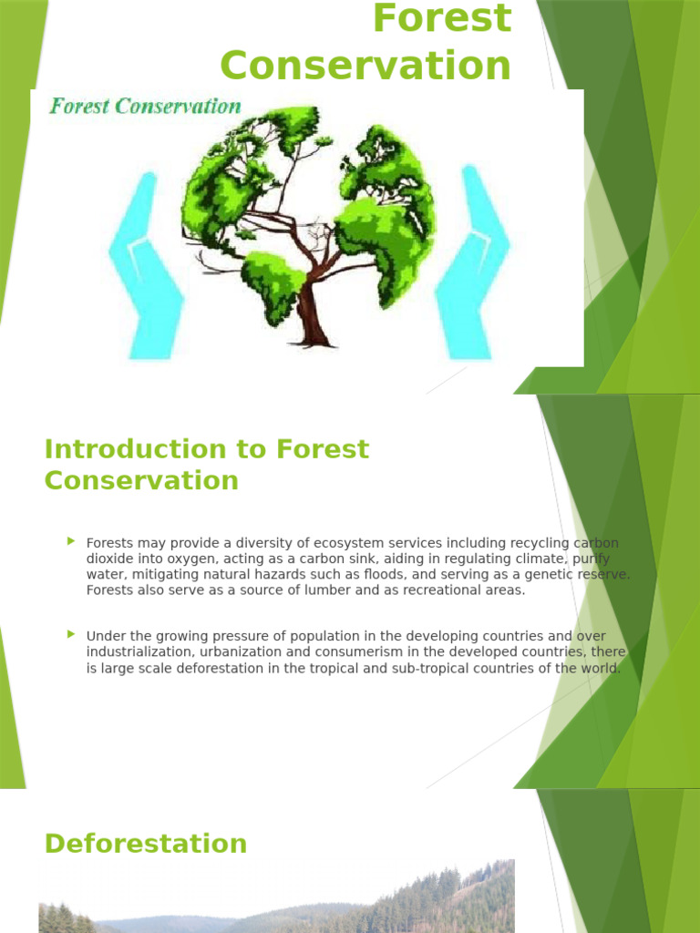 Forest Conservation: Challenges & Solutions | PDF | Deforestation ...