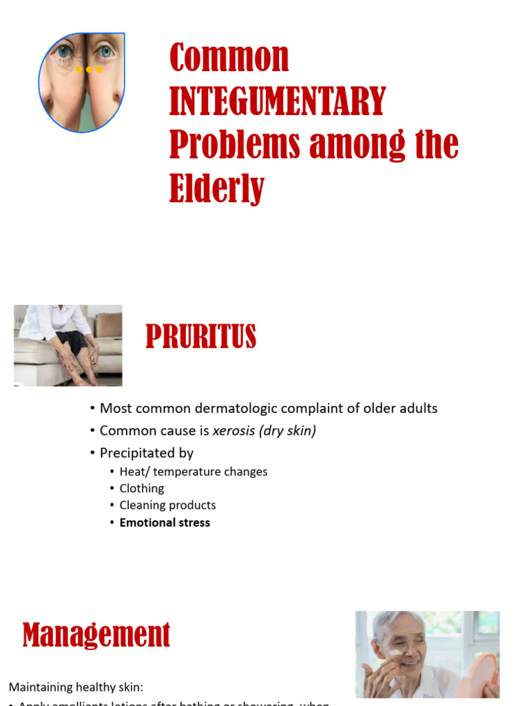 2024 Common Integumentary Problem of Older Adult | PDF | Visual ...