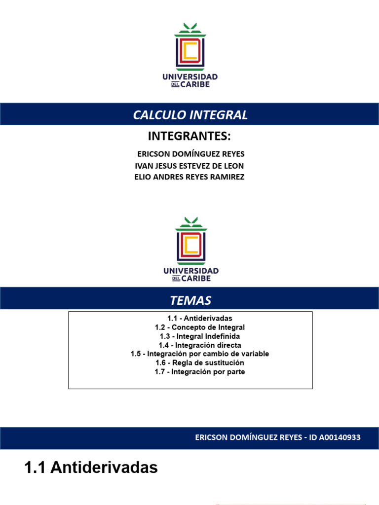 Fundamentos del Cálculo Integral | PDF | Integral | Cálculo
