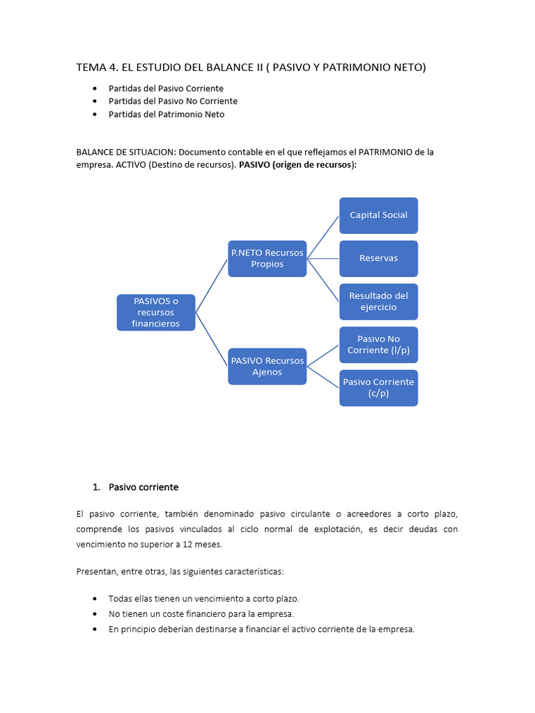 Balance: Pasivo y Patrimonio Neto | PDF | Hoja de balance | Contabilidad