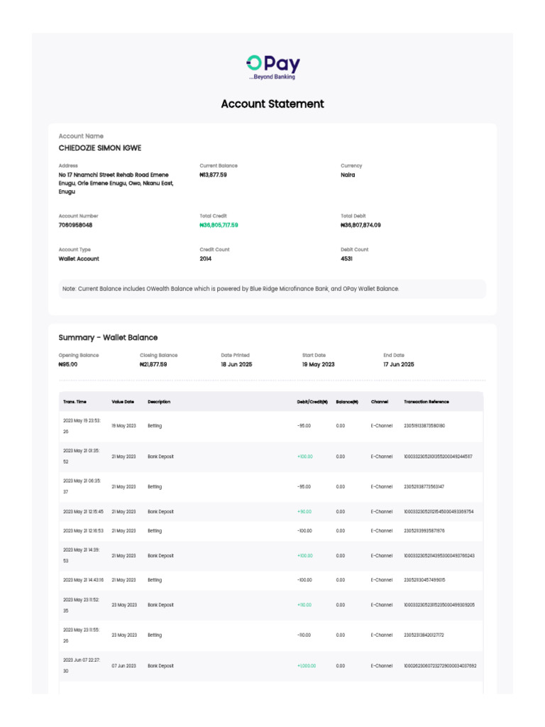 Wallet Account Statement Summary | PDF | Debits And Credits | Banks