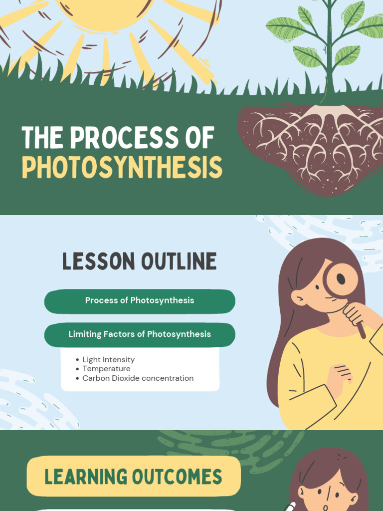 The Process of Photosynthesis | PDF | Photosynthesis | Carbon Dioxide