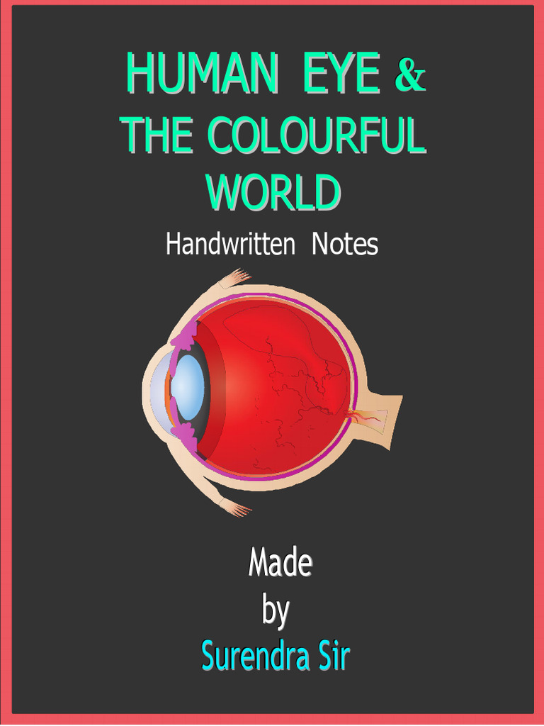 Anatomy and Function of the Human Eye | PDF | Eye | Myopia