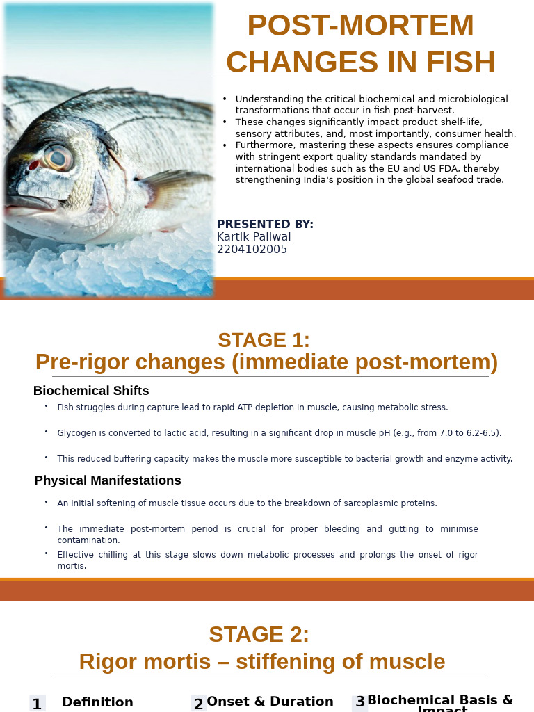 Post-Mortem Changes in Fish Quality | PDF | Decomposition | Skeletal Muscle