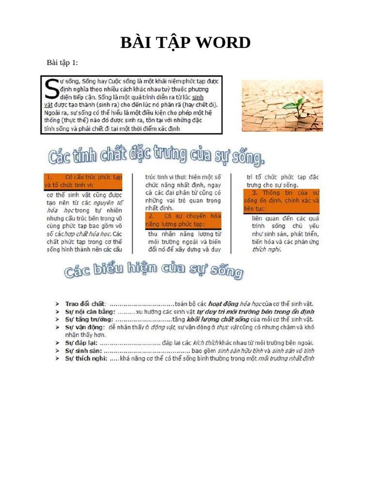 Baitap Word | PDF