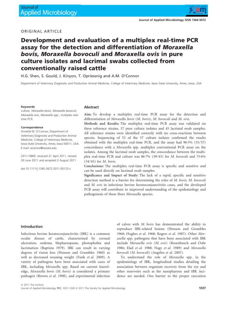 PCR Assay for Moraxella Detection in Cattle | PDF | Polymerase Chain ...
