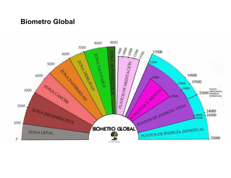 Biometro Global | PDF
