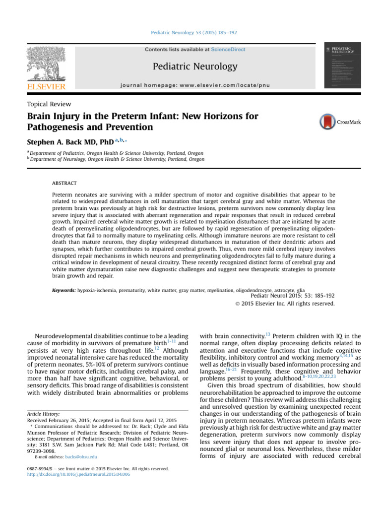 Brain Injury in Preterm Infants: Insights | PDF | Cerebral Cortex ...