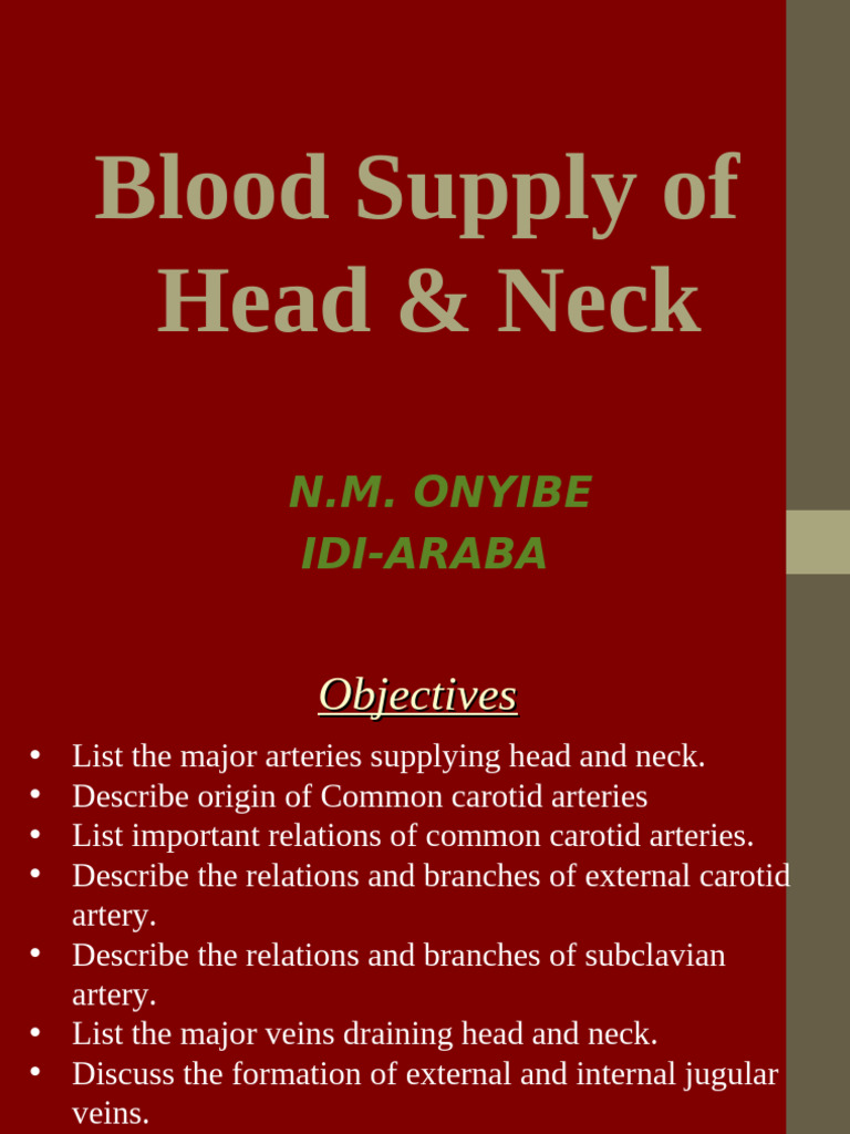 Blood Supply of Head and Neck Anatomy | PDF | Common Carotid Artery | Vein