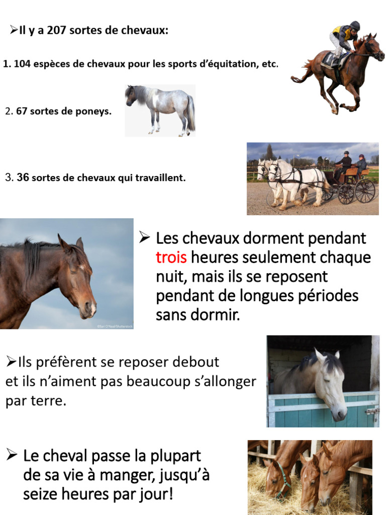 207 types de chevaux et leurs habitudes | PDF