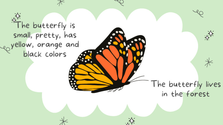 The Butterfly | PDF