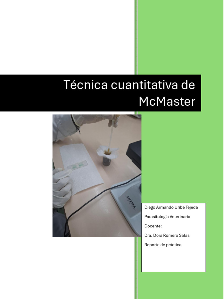 Practica 4 | PDF