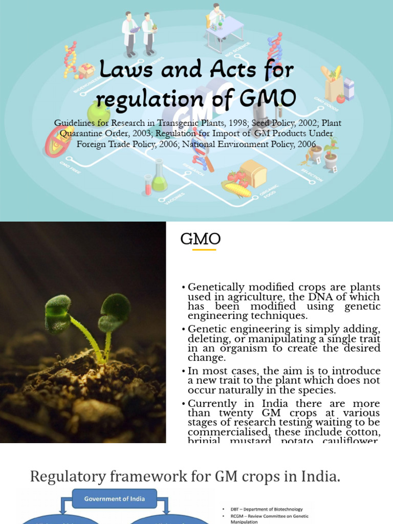 Laws - GMO | PDF | Genetically Modified Organism | Genetic Engineering