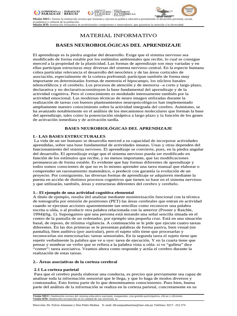Material Info Clase 5 | PDF | Cerebro | Sinapsis