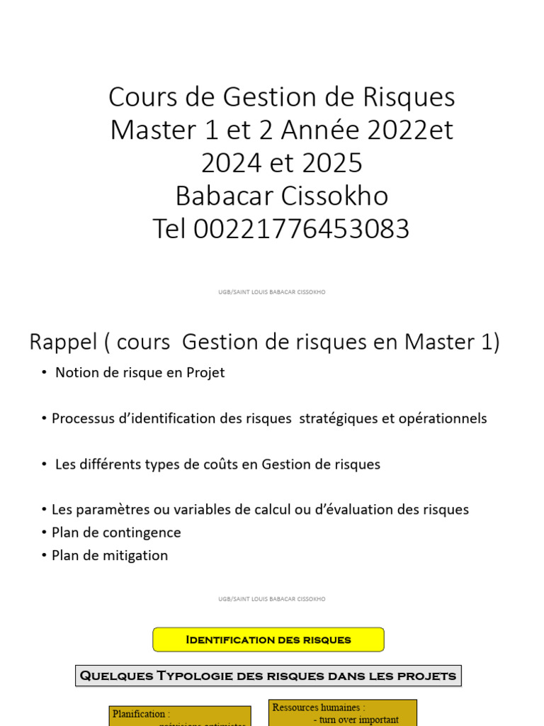Gestion des Risques en Projet : Guide Complet | PDF | Risque | Gestion ...