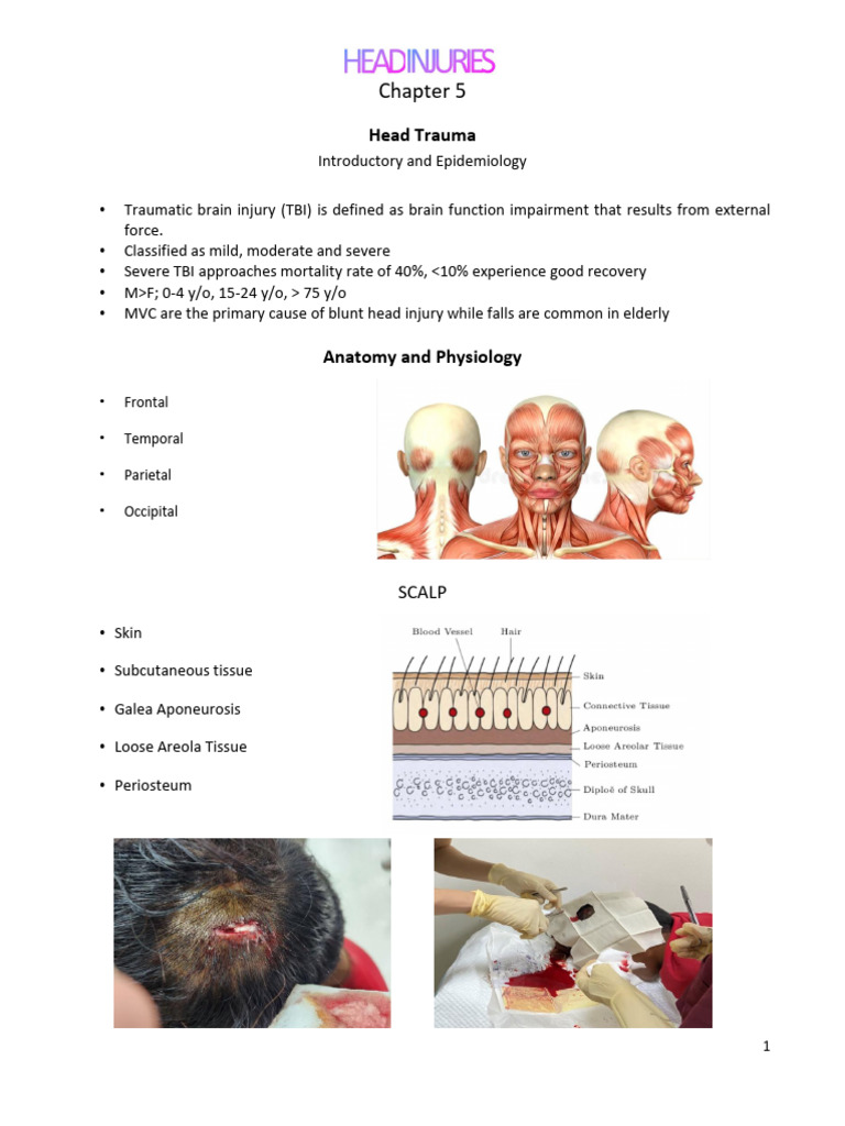 Chapter 05 - Head Trauma | PDF | Traumatic Brain Injury | Concussion