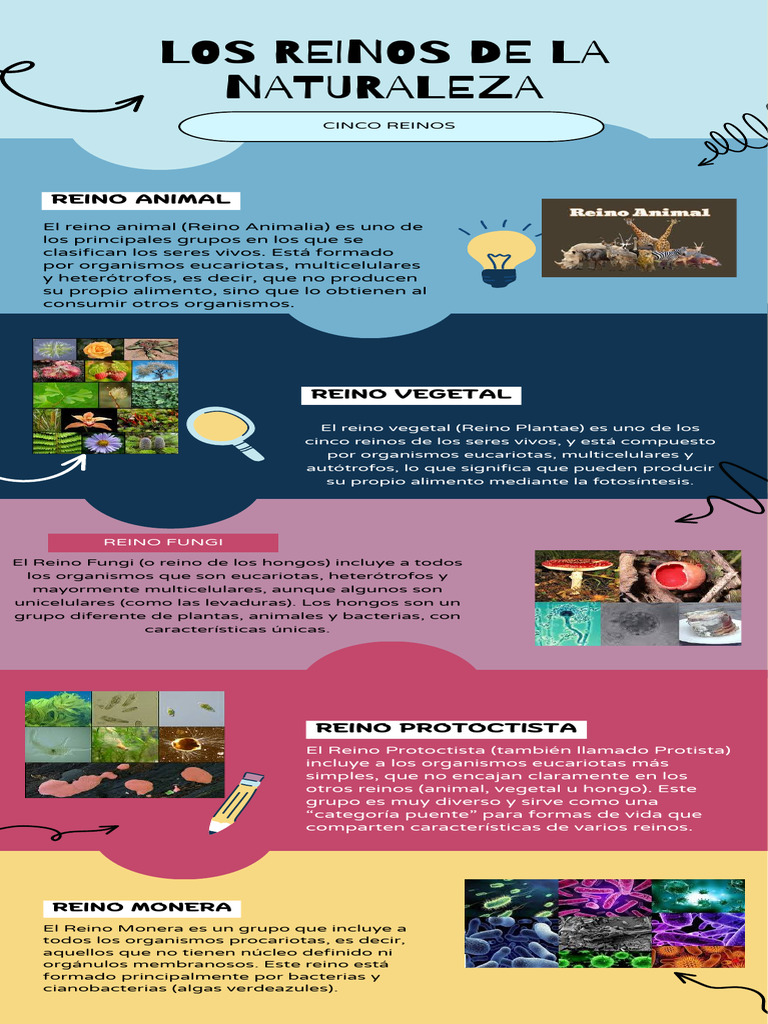 Infografia Naturales | PDF