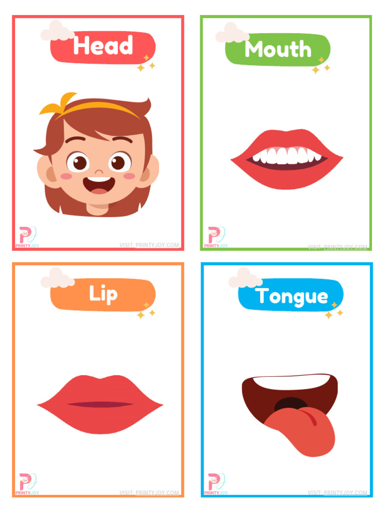 Free Printable Body Parts Flashcards | PDF