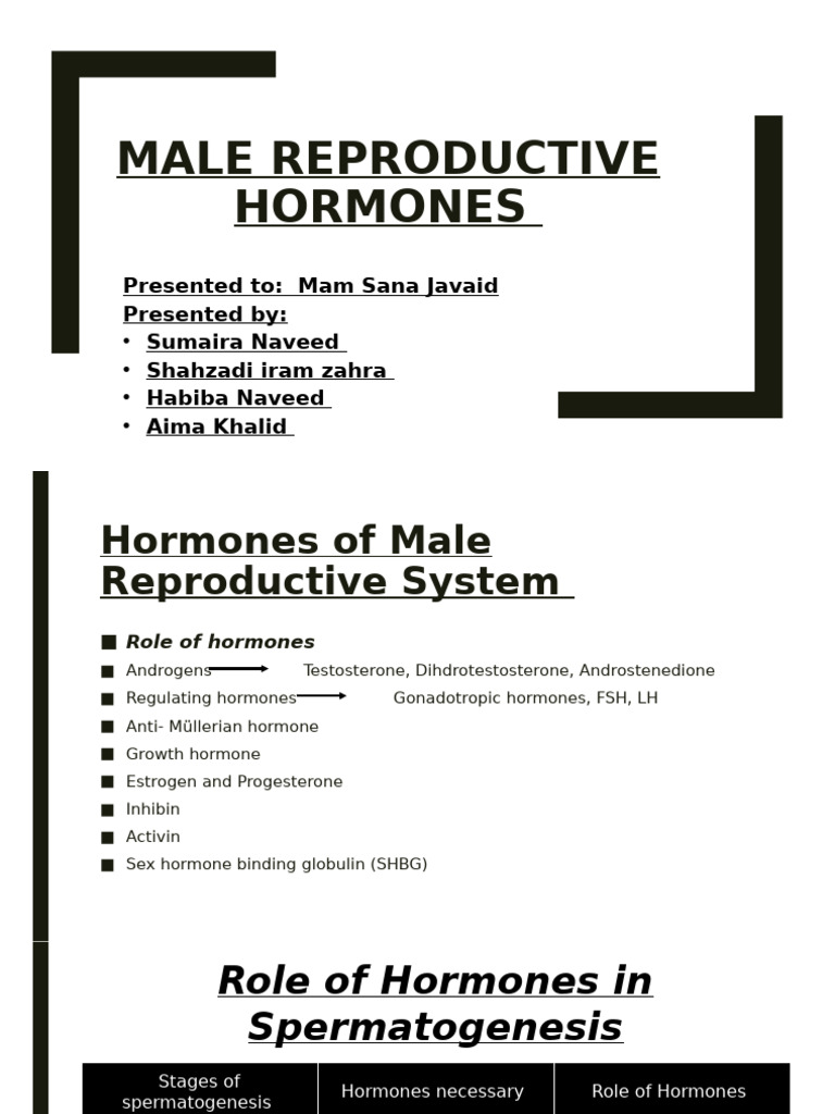 Male Reproductive Hormones Overview | PDF | Luteinizing Hormone ...