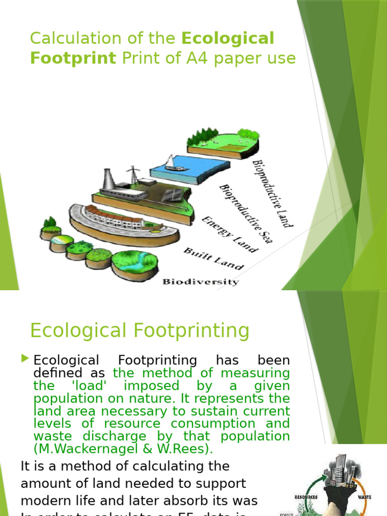 Carbon Footprint of A4 Paper Use | PDF | Carbon Sequestration | Paper
