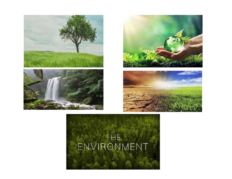 Environment | PDF
