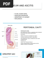 Special Regions of the Peritoneal Cavity | PDF | Peritoneum ...