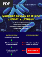 Download Deteccin de BLEE en el Laboratorio de Microbiologa by Yulisa SN87845630 doc pdf