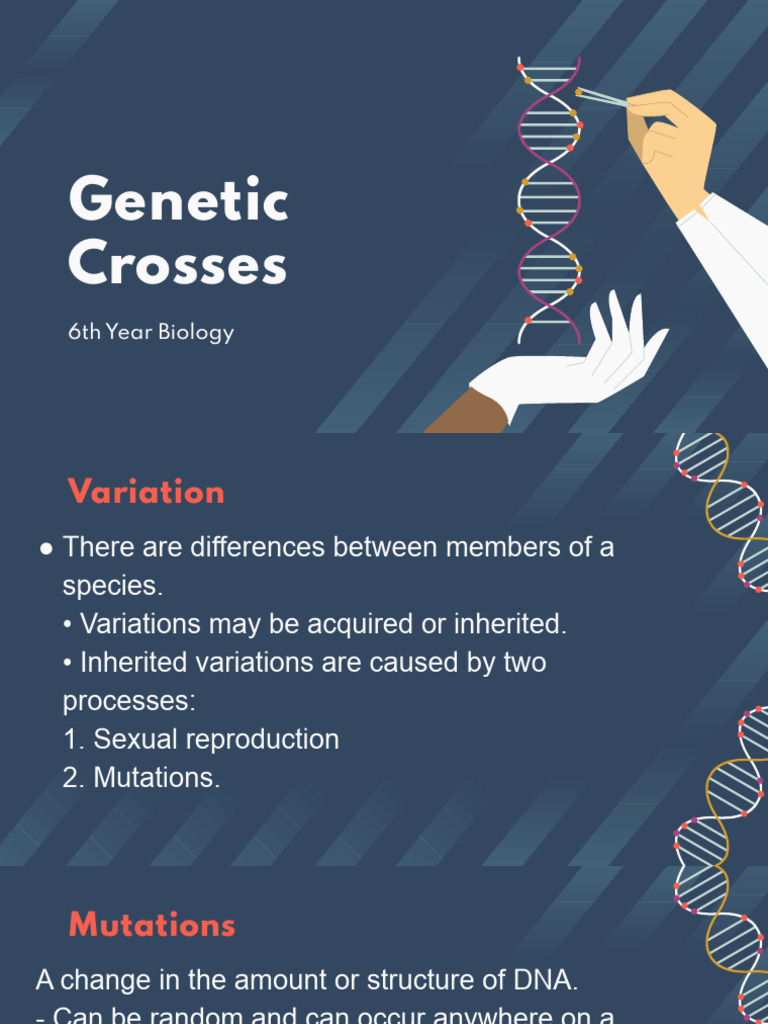 Genetics - Genetic Crosses | PDF | Genotype | Dominance (Genetics)