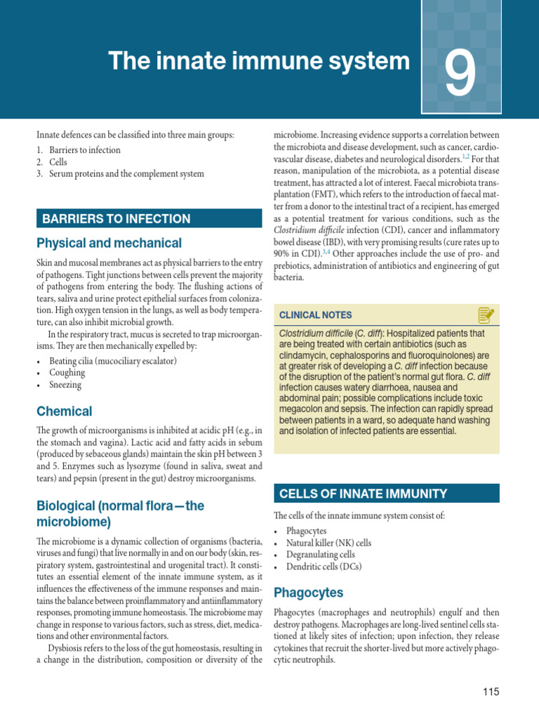 Overview of the Innate Immune System | PDF | Macrophage | Immune System