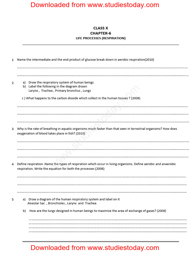 CBSE Class 10 Biology - Respiration | PDF | Respiratory System | Physiology