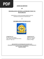 Prnetration Testing Report