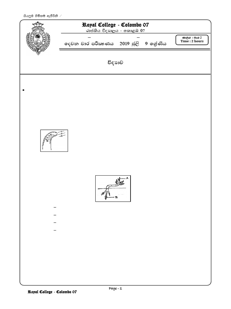 Grade 9 Science 2nd Term Test Paper | PDF
