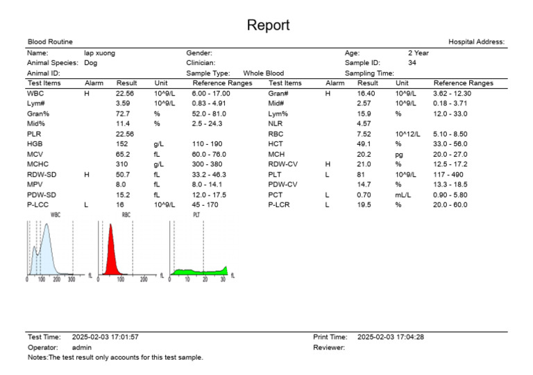 Dog Blood Test Results Report | PDF | Hematology | Blood
