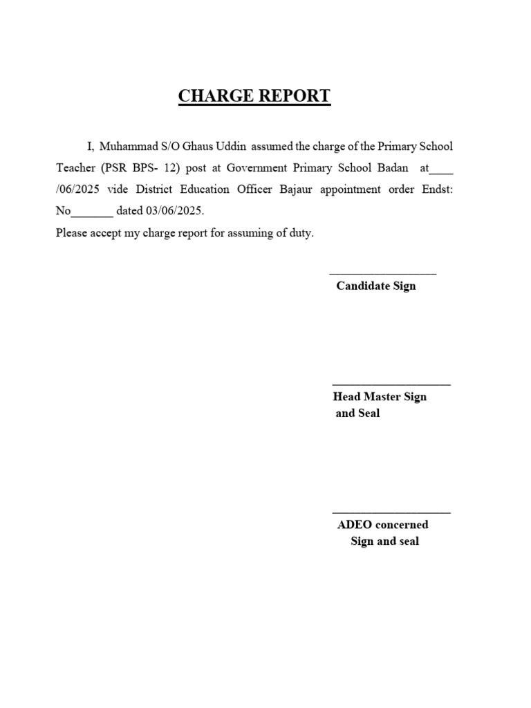 Charge Report for Primary School Teacher | PDF