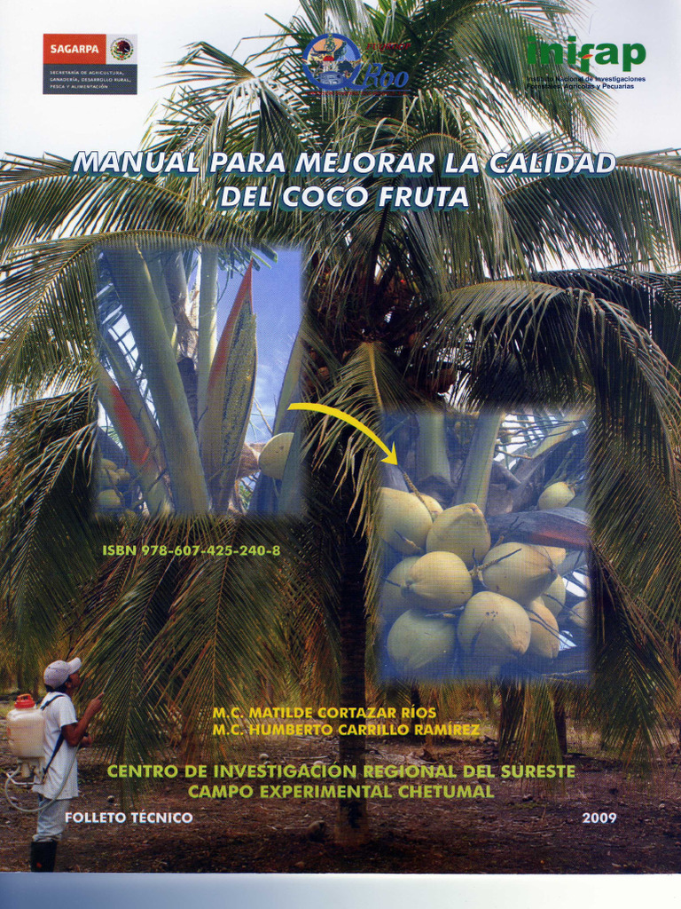 Manualmejorar Coco | PDF