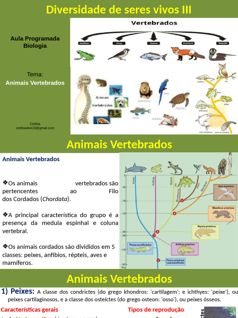 Animais Vertebrados | PDF | Vertebrados | Anatomia