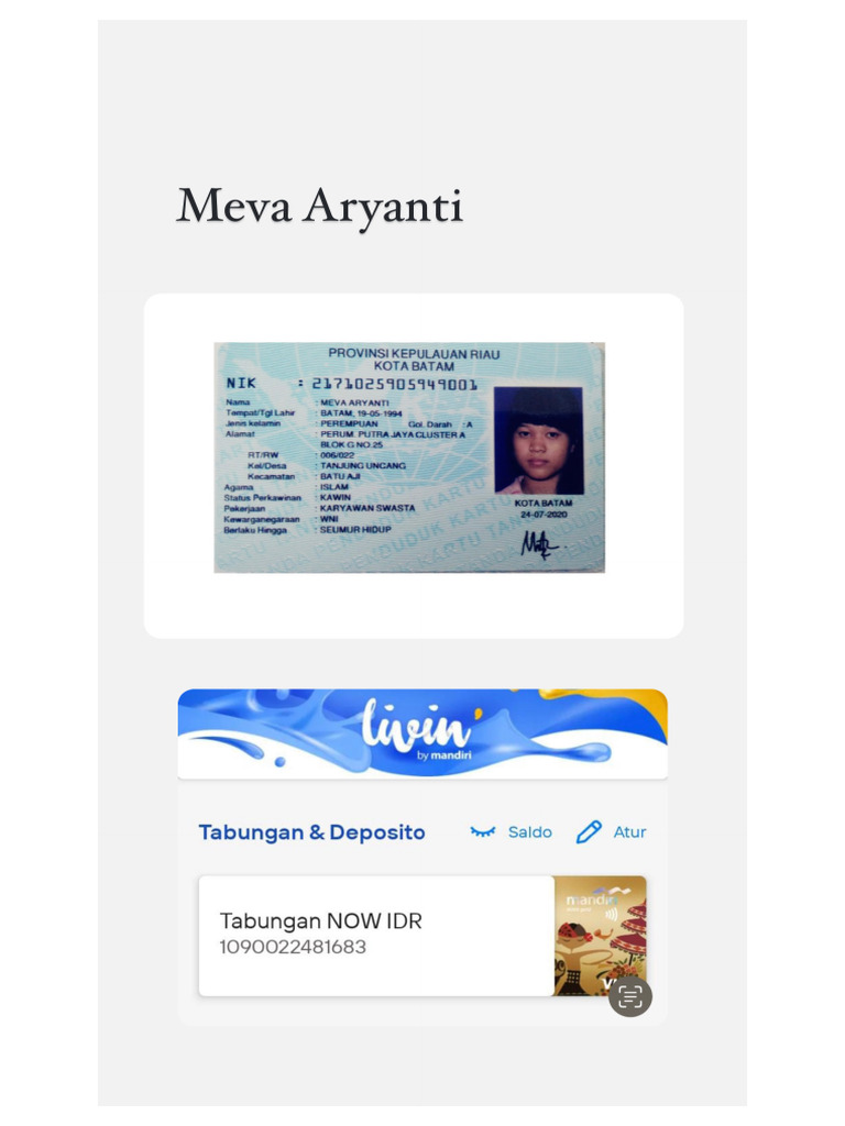 Meva Docs | PDF