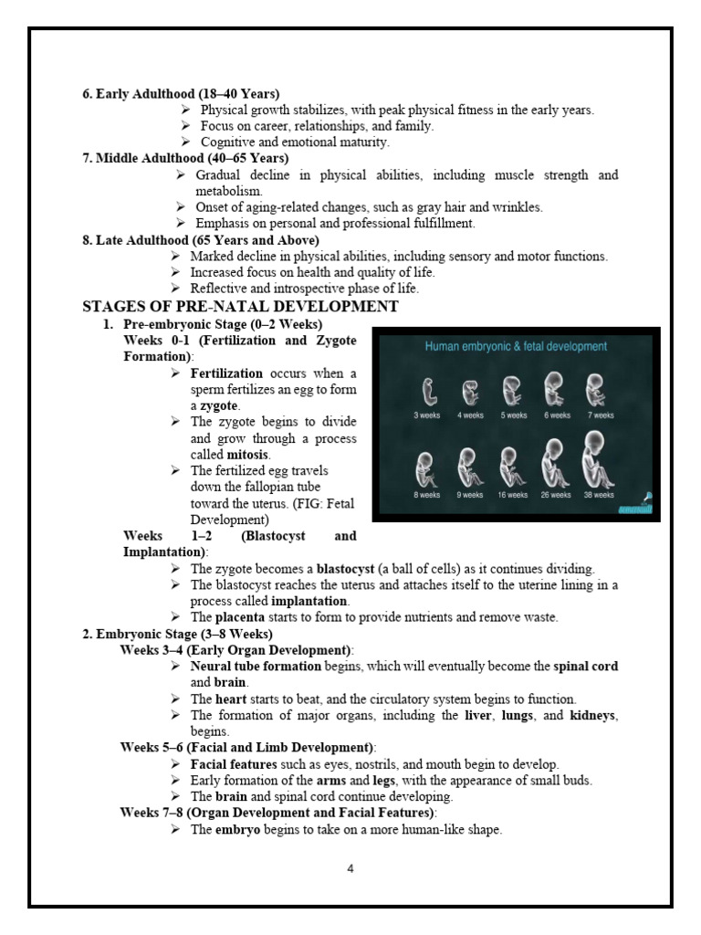 Growth and Development Assignmnent Anp-Pages-4 | PDF | Uterus ...